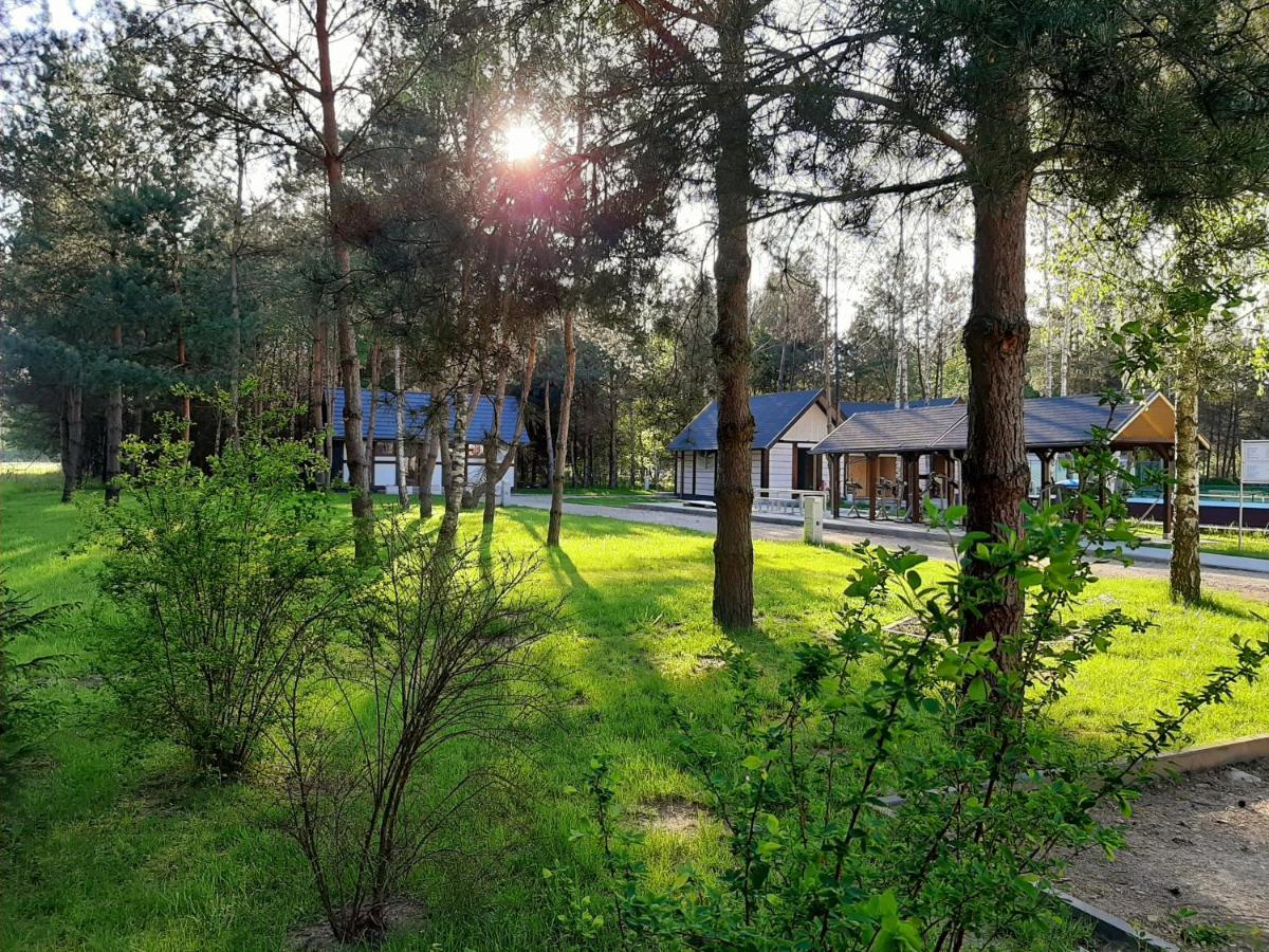 Osrodek Wypoczynkowy Lubu Dubu Dankow Exterior foto
